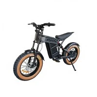 Electric City Motorcycleの購入に際して、利用できる融資オプションはありますか?